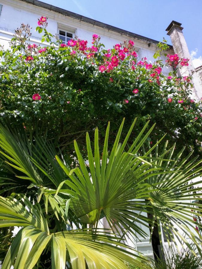 Quai Des Fleurs Saint-Savinien Exterior photo
